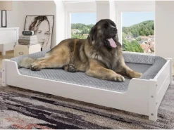 Erst-Holz Hundesofa XXL für Dogge Bernhardiner Tierbett 120 x 70 cm Kiefer Weiß mit Rollrost. Polster und Matratze* Hundebedarf