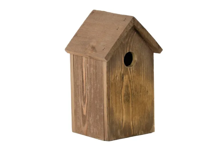 Esschert Design Nistkasten Kohlmeise FSC®* Vogelbedarf