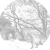 ESTAhome Selbstklebende Runde Tapete Wald Mit Waldtieren Grau Ø 140 cm 159083* Wandtattoos