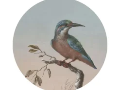 ESTAhome Selbstklebende Runde Tapete Eisvogel Auf Zweig Abendrot Ø 70 cm 158993