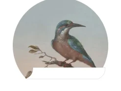 ESTAhome Selbstklebende Runde Tapete Eisvogel Auf Zweig Abendrot Ø 70 cm 158993
