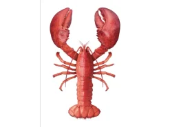 ESTAhome Wandtattoo Hummer Rot 70 x 46,5 cm 159045* Wandtattoos