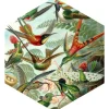 ESTAhome Wandtattoo Vögel Dschungelgrün 140 x 161 cm 159023* Wandtattoos