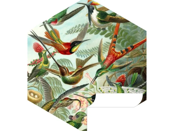 ESTAhome Wandtattoo Vögel Dschungelgrün 140 x 161 cm 159023* Wandtattoos