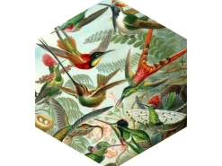ESTAhome Wandtattoo Vögel Dschungelgrün 70 x 81 cm 158999* Wandtattoos