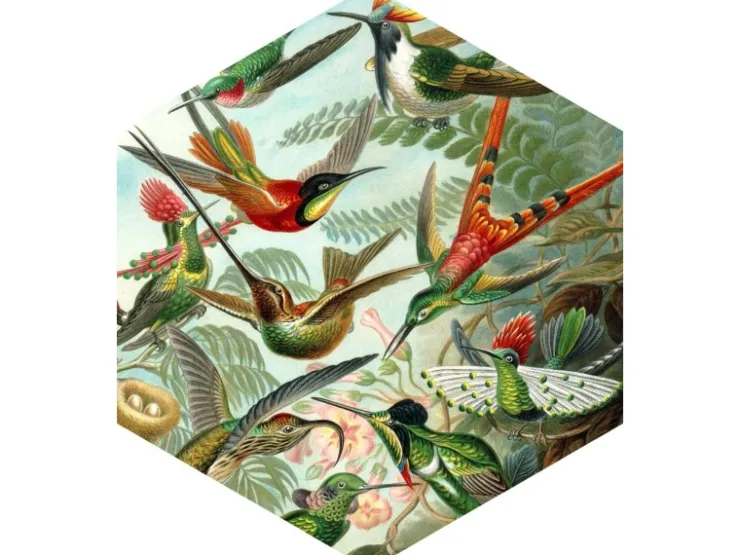 ESTAhome Wandtattoo Vögel Dschungelgrün 70 x 81 cm 158999* Wandtattoos