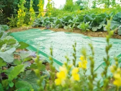Frühbeetfolie 10 m x 1,5 m* Insektenschutz
