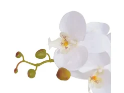 furnicato Künstliche Orchidee mit Topf 65 cm Weiß* Ostern|Kunstpflanzen