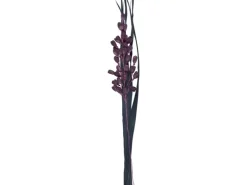 Getrockneter Dekostrauß Lilie Midnight Mystery 95 cm Lila-Schwarz