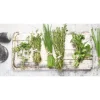 Pro Art Glasbild Ingredients VI 80 cm x 30 cm* Bilder