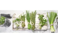 Pro Art Glasbild Ingredients VI 80 cm x 30 cm* Bilder