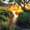 Pro Art Glasbild Misty landscape II 30 cm x 30 cm* Bilder