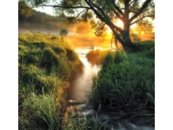 Pro Art Glasbild Misty landscape II 30 cm x 30 cm* Bilder