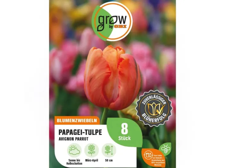 GROW by OBI Papagei-Tulpe Avignon Parrot Rot 8 Stück Tulipa parrot* Vasen