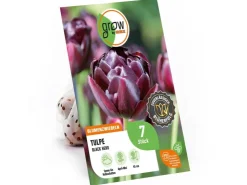 GROW by OBI Tulpe Black Hero Lila 7 Stück Tulipa double late Black Hero* Vasen