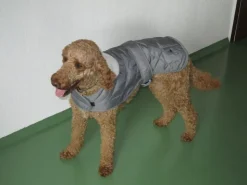 Heim Hundemantel Banbury Mit Kragen Größe S Rückenlänge 40 cm