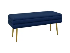 HOMCOM Sitzbank Polsterbank Stauraum Samtoptik Bettbank 100 x 37 x 42 cm