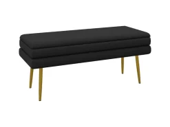 HOMCOM Sitzbank Polsterbank mit Stauraum Samtoptik 100 x 37 x 42 cm* Sitzbänke
