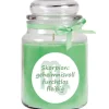 HS Candle Duftkerze & Glas Sternzeichen Coconut Limes 110 Stunden Skorpion* Windlichter