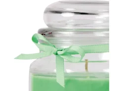 HS Candle Duftkerze & Glas Sternzeichen Coconut Limes 110 Stunden Skorpion* Windlichter
