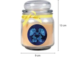 HS Candle Duftkerze & Glas Sternzeichen Vanille 70 Stunden Zwillinge