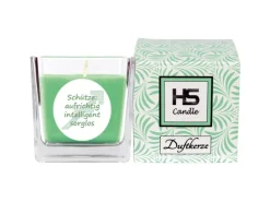 HS Candle Duftkerze & Glas Sternzeichen Coconut Limes 50 Stunden Schütze