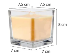 HS Candle Duftkerze & Glas Sternzeichen Vanille 50 Stunden Löwe* Windlichter
