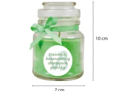 HS Candle Duftkerze & Glas Sternzeichen Coconut Limes 30 Stunden Steinbock* Windlichter