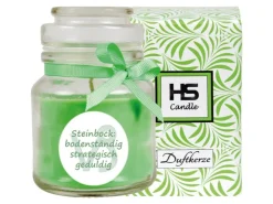 HS Candle Duftkerze & Glas Sternzeichen Coconut Limes 30 Stunden Steinbock* Windlichter