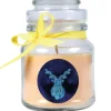 HS Candle Duftkerze & Glas Sternzeichen Vanille 30 Stunden Steinbock