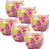 HS Candle Duftkerze Motiv 6er Pack Blütenzauber