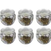 HS Candle Duftkerze Motiv 6er Pack Anti Tabak Ginger Lime