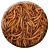 Insektus Mehlwürmer im Pe-Beutel 5 Liter* Terraristik