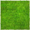 Jangal Wandpaneel Modular Wall Bright Green Moos 52 x 52 cm
