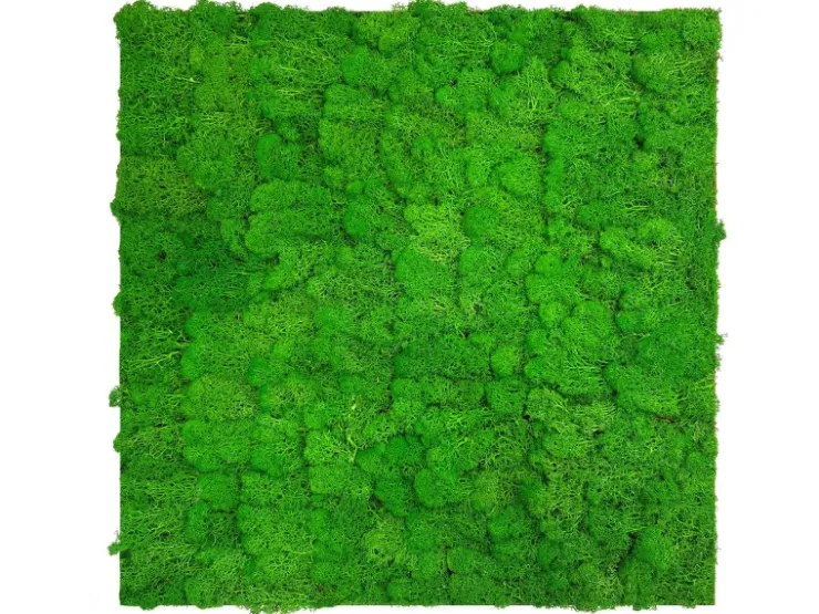 Jangal Wandpaneel Modular Wall Rich Green Moos 52 x 52 cm* Wanddekoration