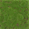 Jangal Wandpaneel Modular Wall Forest Green Bulk Design moos 52 x 52 cm* Wanddekoration|Bastelzubehör