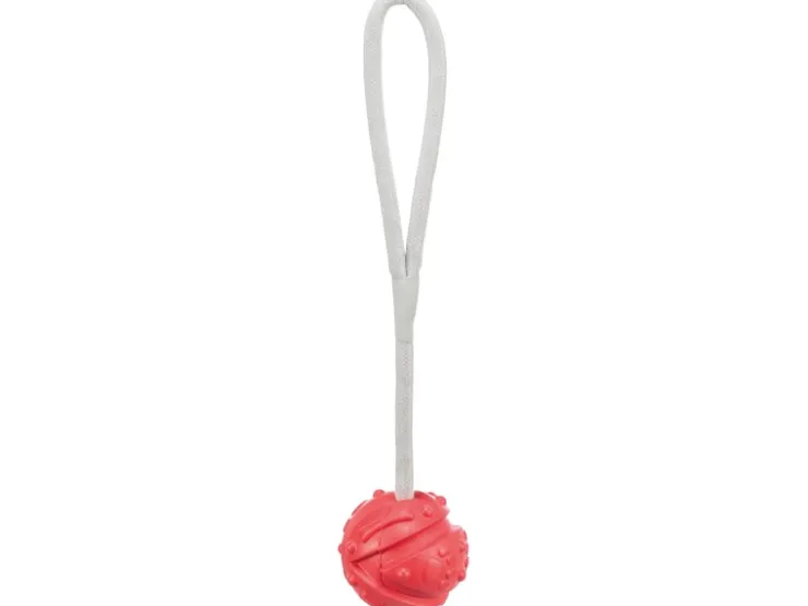Jollypaw Aqua Toy Ball am Seil Naturgummi Ø 7 cm x 35 cm Rot