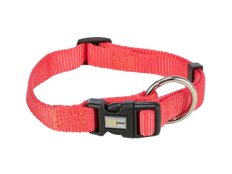 Jollypaw Halsband 22 - 35 cm x 10 mm Lachs* Hundebedarf