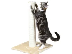 Jollypaw Kratzstamm Jaskitty 62 cm Beige* Katzenbedarf