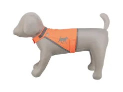 Jollypaw Sicherheitsweste Reflektierend Größe M 32 cm Orange
