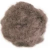 Jollypaw Spielbälle mit Schelle ø 3 cm 2 Stk.* Katzenbedarf