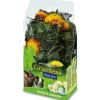JR Farm Nager-Ergänzungsfutter Grainless Plus Kamille und Löwenzahn 100 g* Kleintierbedarf
