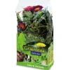 JR Farm Nager-Ergänzungsfutter Grainless Plus Salbei und Löwenzahn 100 g