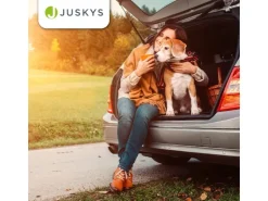 Juskys Faltbare Hundetransportbox Lassie L* Hundebedarf