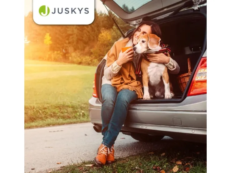Juskys Faltbare Hundetransportbox Lassie M* Hundebedarf