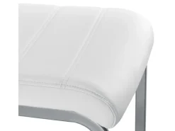 Juskys Freischwinger Stuhl Vegas 2er Set aus Kunstleder