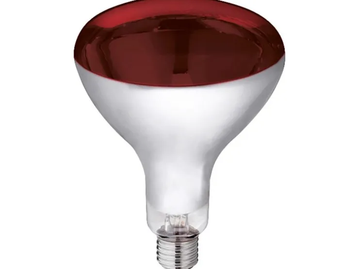 Kerbl Hartglas-Infrarotlampe 250 W* Terraristik|Kleintierbedarf