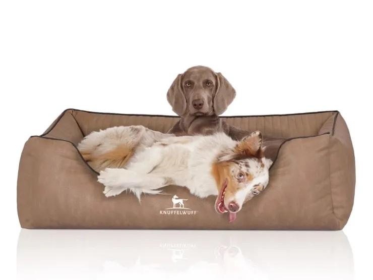 Knuffelwuff Hundebett Tampa Orthopädisch Kunstleder XXL 120 x 85cm* Hundebedarf
