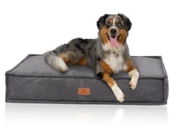 Knuffelwuff Hundekissen Lesedi Cord 135x90cm
