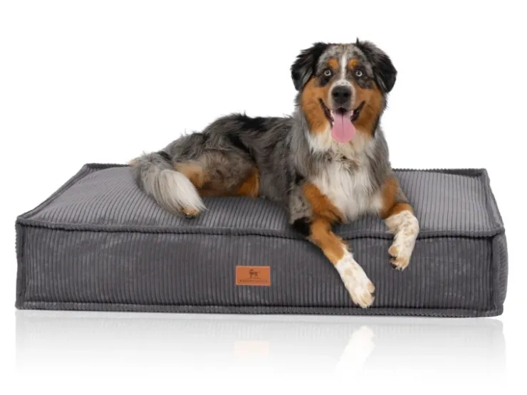 Knuffelwuff Hundekissen Lesedi Cord 80x60cm* Kissen